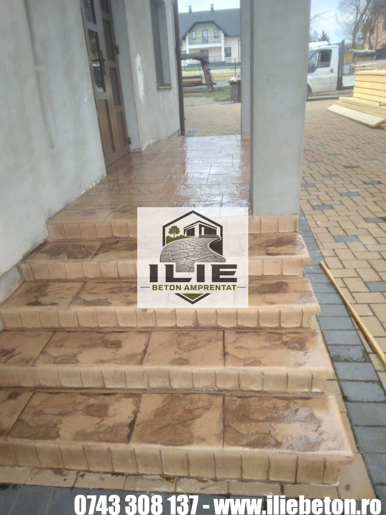 ILIE Beton amprentat alei private - strazi - terase (16)