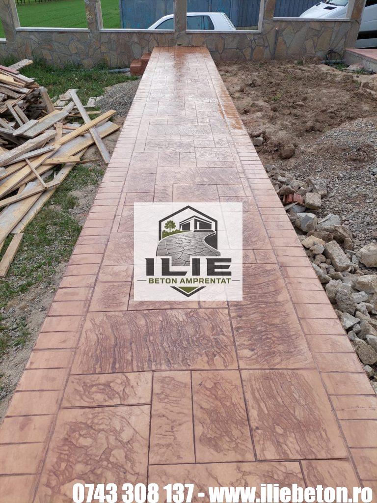 ILIE Beton amprentat alei private - strazi - terase (21)