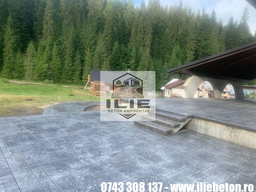 ILIE Beton amprentat alei private - strazi - terase (29)