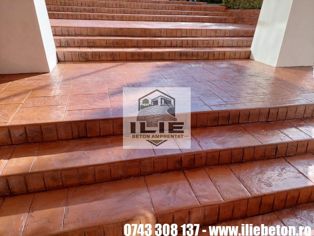 ILIE Beton amprentat alei private - strazi - terase (44)